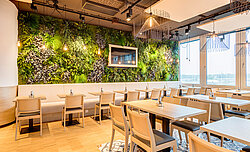 Preserved plant wall, Freund Greenwood Jungle, maintenance-free at the ORBI Tower Vienna