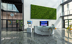 Maintenance-free cushion moss wall decoration, Stadtwerke Geesthacht entrance hall, cushion moss