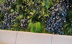 Konservierte Pflanzenwand, Freund Greenwood Jungle, pflegefrei im ORBI Tower Wien